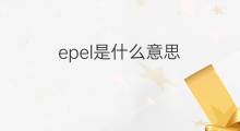 epel是什么意思 epel的中文翻译、读音、例句
