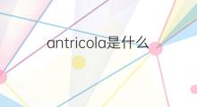 antricola是什么意思 antricola的中文翻译、读音、例句