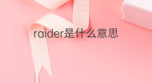 raider是什么意思 raider的中文翻译、读音、例句