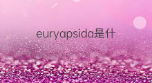 euryapsida是什么意思 euryapsida的中文翻译、读音、例句