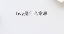 byy是什么意思 byy的翻译、读音、例句、中文解释