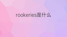 rookeries是什么意思 rookeries的中文翻译、读音、例句