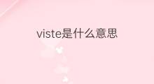 viste是什么意思 viste的中文翻译、读音、例句