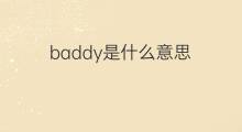 baddy是什么意思 baddy的翻译、读音、例句、中文解释