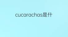 cucarachas是什么意思 cucarachas的中文翻译、读音、例句