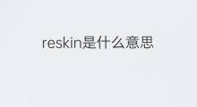 reskin是什么意思 reskin的中文翻译、读音、例句