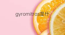 gyromitras是什么意思 gyromitras的中文翻译、读音、例句