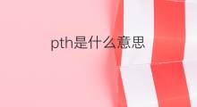 pth是什么意思 pth的中文翻译、读音、例句