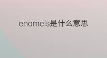 enamels是什么意思 enamels的中文翻译、读音、例句