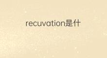 recuvation是什么意思 recuvation的翻译、读音、例句、中文解释