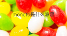 moneta是什么意思 moneta的中文翻译、读音、例句