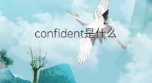 confident是什么意思 confident的中文翻译、读音、例句