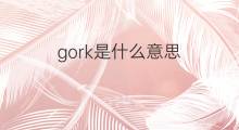 gork是什么意思 gork的中文翻译、读音、例句