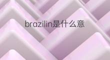 brazilin是什么意思 brazilin的翻译、读音、例句、中文解释