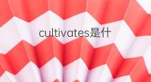 cultivates是什么意思 cultivates的翻译、读音、例句、中文解释