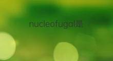 nucleofugal是什么意思 nucleofugal的中文翻译、读音、例句