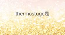 thermostage是什么意思 thermostage的中文翻译、读音、例句