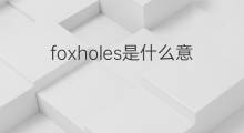 foxholes是什么意思 foxholes的中文翻译、读音、例句