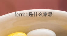 ferrod是什么意思 ferrod的中文翻译、读音、例句