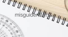 misguider是什么意思 misguider的中文翻译、读音、例句