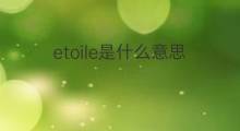 etoile是什么意思 etoile的中文翻译、读音、例句