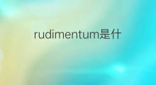 rudimentum是什么意思 rudimentum的翻译、读音、例句、中文解释