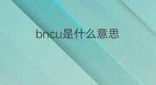 bncu是什么意思 bncu的中文翻译、读音、例句