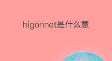 higonnet是什么意思 higonnet的中文翻译、读音、例句