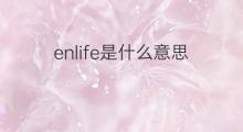 enlife是什么意思 enlife的中文翻译、读音、例句