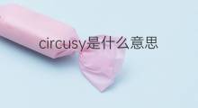 circusy是什么意思 circusy的中文翻译、读音、例句