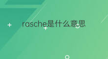 rasche是什么意思 rasche的中文翻译、读音、例句