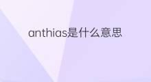 anthias是什么意思 anthias的中文翻译、读音、例句
