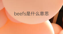 beefs是什么意思 beefs的中文翻译、读音、例句
