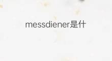 messdiener是什么意思 messdiener的中文翻译、读音、例句