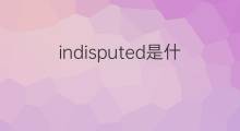 indisputed是什么意思 indisputed的中文翻译、读音、例句