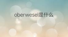 oberwesel是什么意思 oberwesel的翻译、读音、例句、中文解释