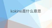 kokine是什么意思 kokine的翻译、读音、例句、中文解释