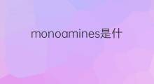 monoamines是什么意思 monoamines的中文翻译、读音、例句
