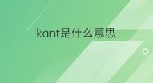 kant是什么意思 kant的中文翻译、读音、例句