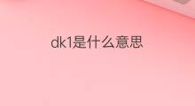 dk1是什么意思 dk1的中文翻译、读音、例句