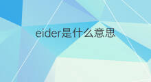 eider是什么意思 英文名eider的翻译、发音、来源