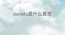 owlets是什么意思 owlets的中文翻译、读音、例句