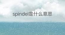 spindel是什么意思 spindel的翻译、读音、例句、中文解释