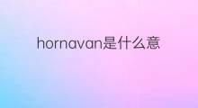 hornavan是什么意思 hornavan的中文翻译、读音、例句