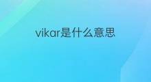 vikar是什么意思 vikar的中文翻译、读音、例句