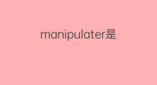 manipulater是什么意思 manipulater的中文翻译、读音、例句