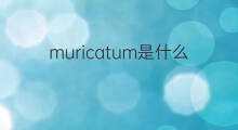 muricatum是什么意思 muricatum的中文翻译、读音、例句