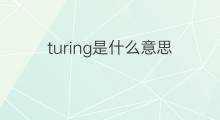 turing是什么意思 turing的中文翻译、读音、例句