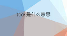 tcas是什么意思 tcas的中文翻译、读音、例句