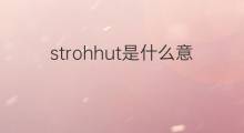 strohhut是什么意思 strohhut的中文翻译、读音、例句
